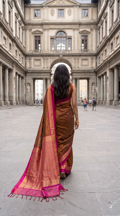 Silk Saree with Pochampally Pallu - Brown