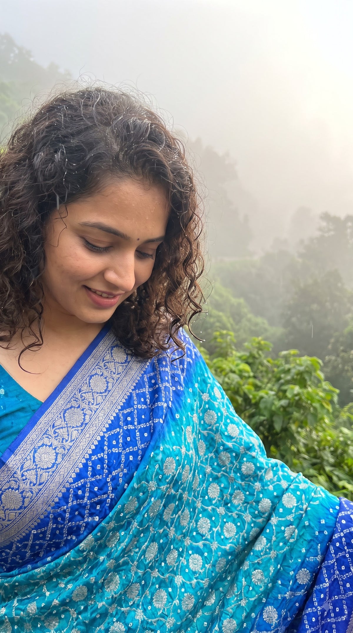 Dhupiyan Silk with Bandhani & Jaal Zari - Blue