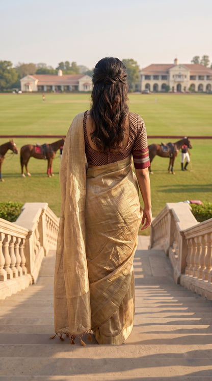 A rear-view portrait of a woman descending a grand stone staircase overlooking a polo field, showing the half-up hairstyle and the structured, shimmering fall of her golden tissue cotton saree pallu