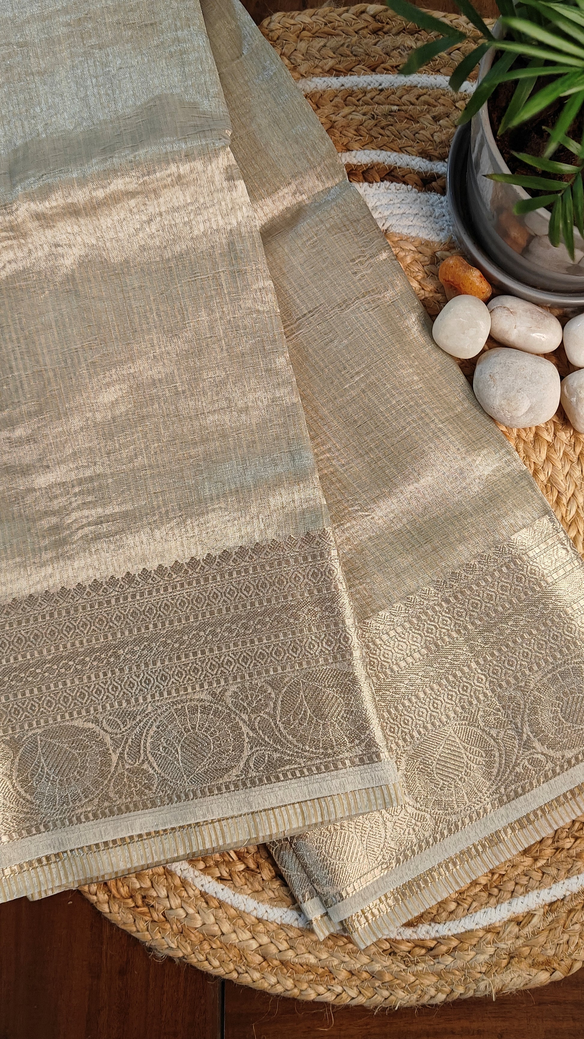 Golden tissue silk saree with subtle sheen and elegant border, lightweight festive ethnic wear, on a woven surface with pebbles and a plant in the background.