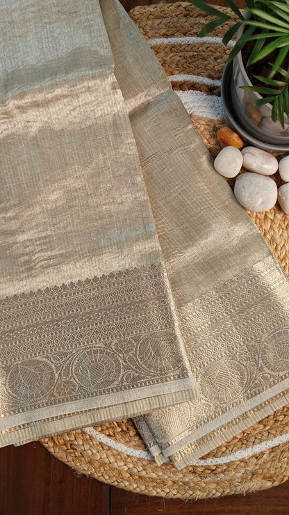 Golden tissue silk saree with subtle sheen and elegant border, lightweight festive ethnic wear, on a woven surface with pebbles and a plant in the background.